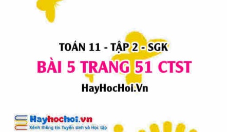 Bài 5 trang 51 Toán 11 tập 2 Chân trời sáng tạo